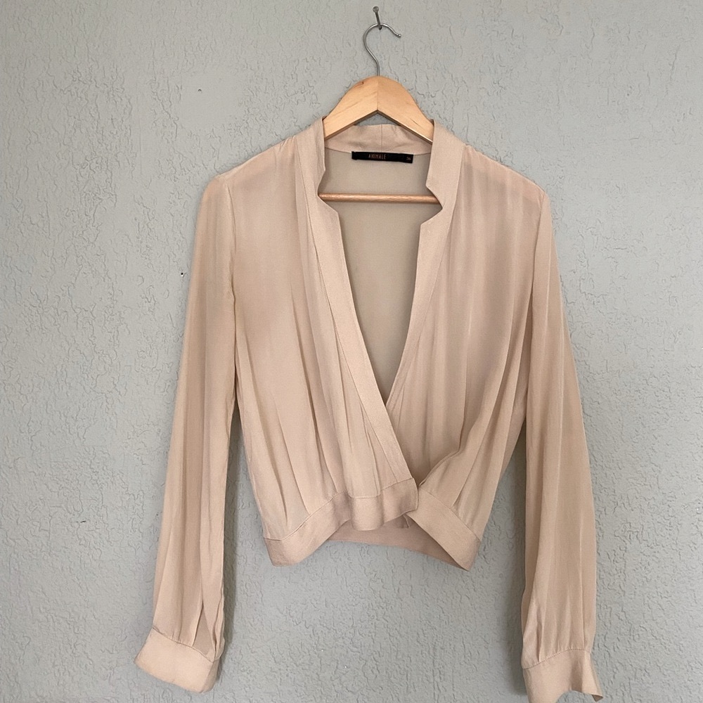 Elegant Sheer Women's Top